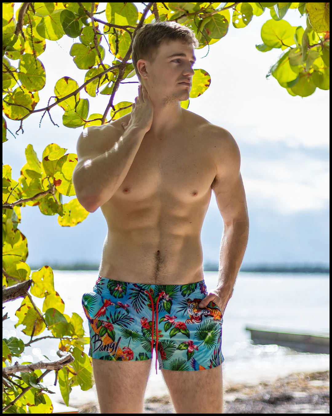DISCO JUNGLE - Show Shorts - Image 6