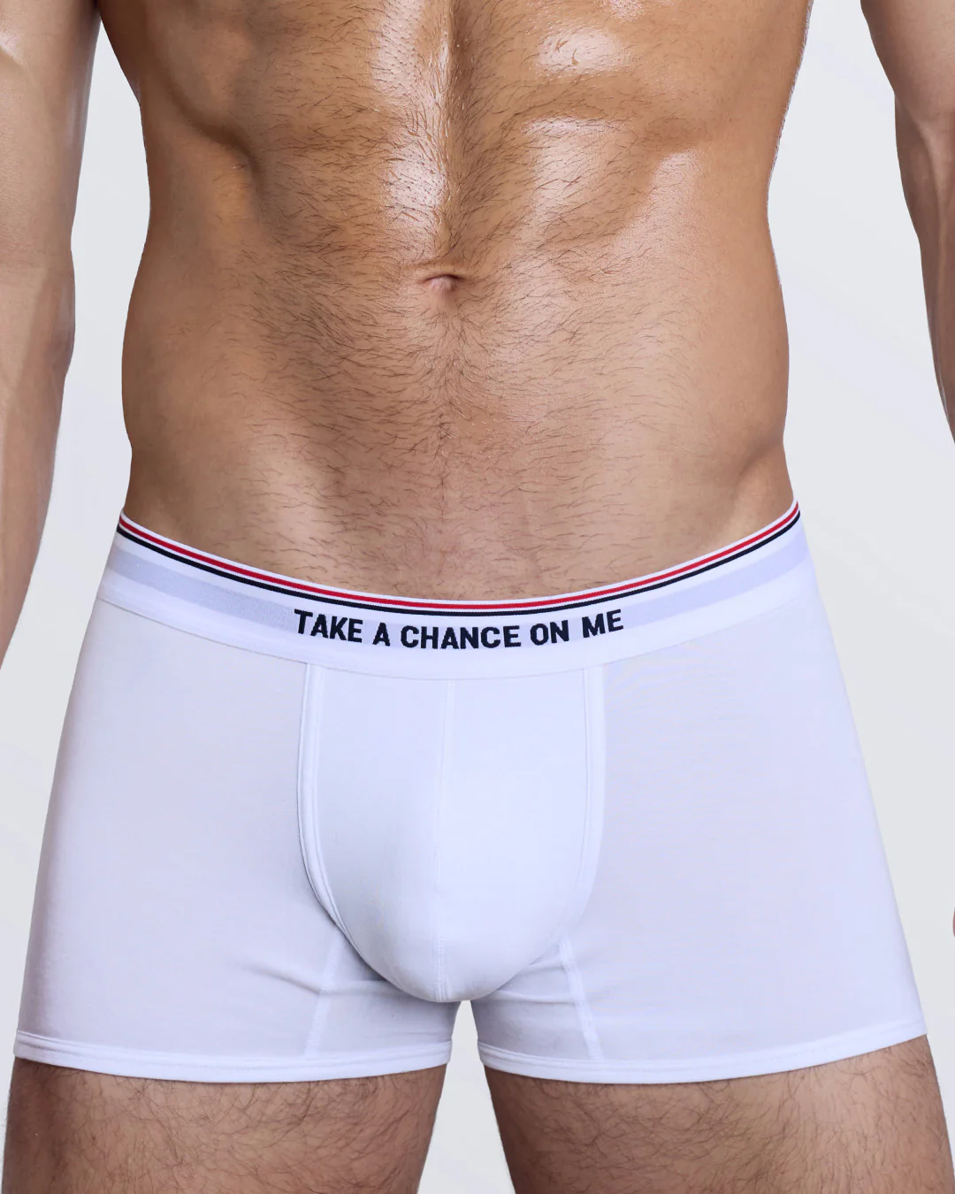 TAKE A CHANCE ON ME - Modal Boxer Brief | DC2 - Image 3
